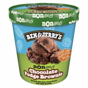 Ben & Jerry's Non Dairy Chocolate Fudge Brownie