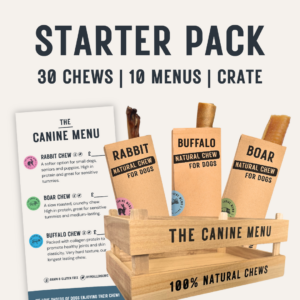 Canine Menu Chew Starters Pack